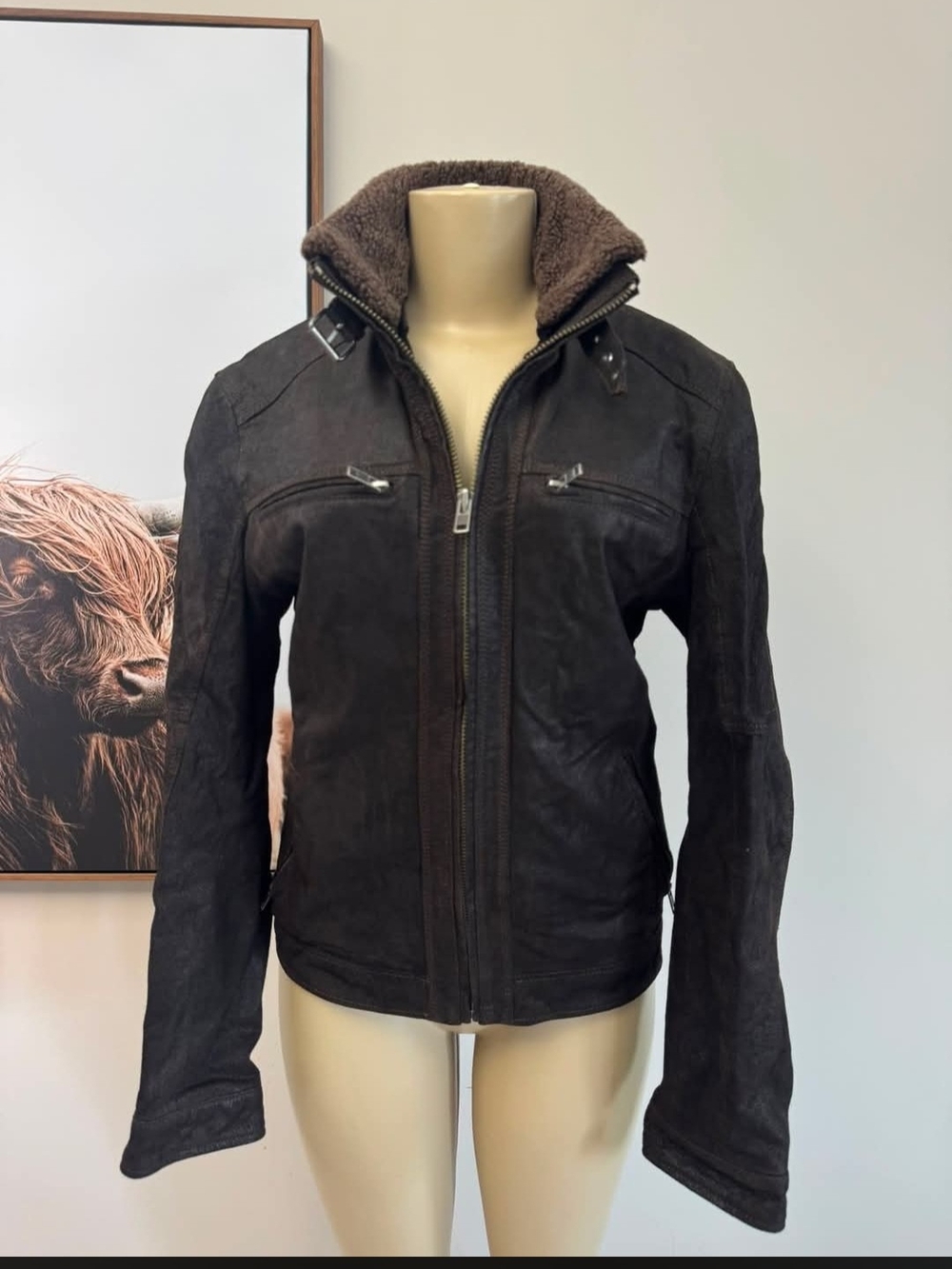 Danier Dark Brown Suede Jacket with Sherpa Collar
